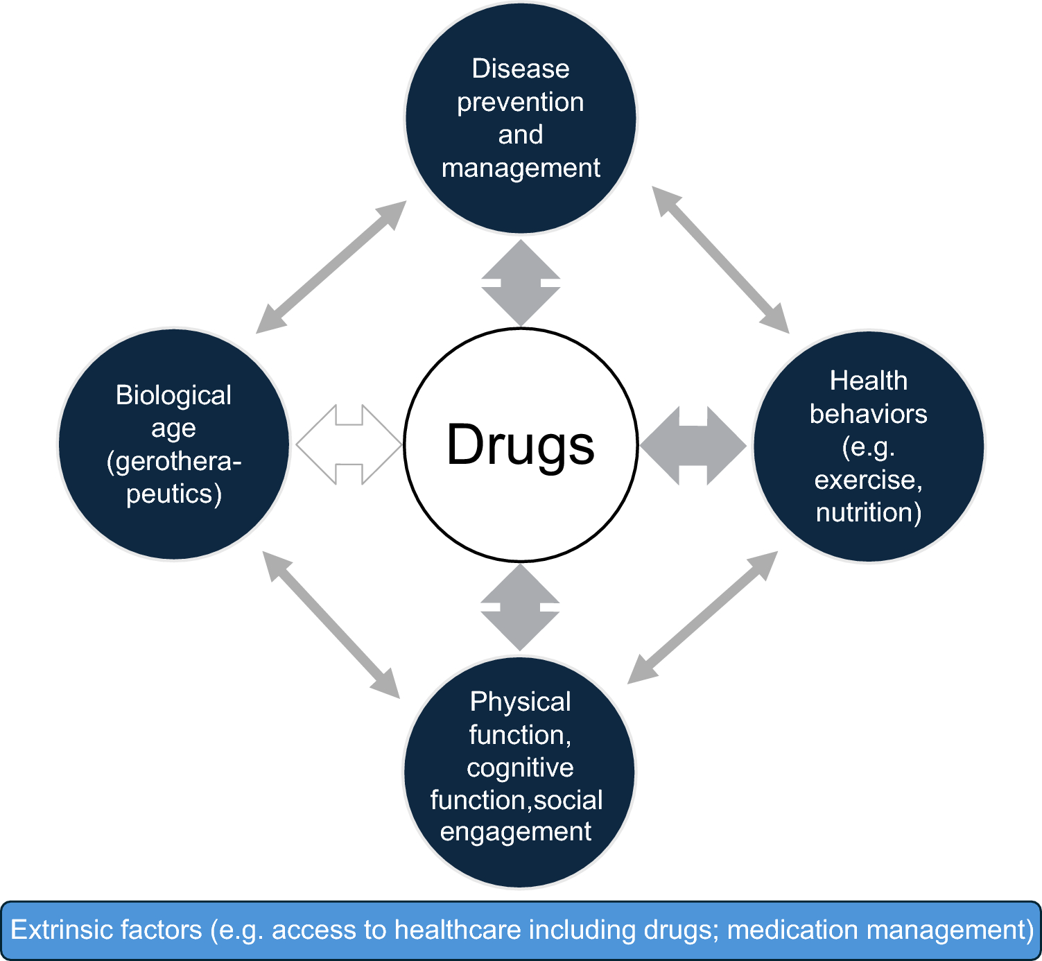 Drugs and Healthy Aging