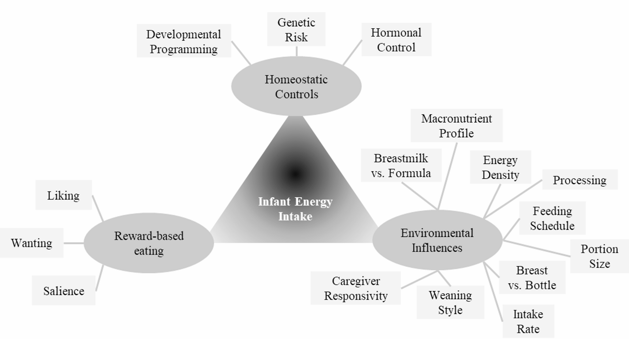 The Regulation of Energy Intake in Infancy: A Narrative Review