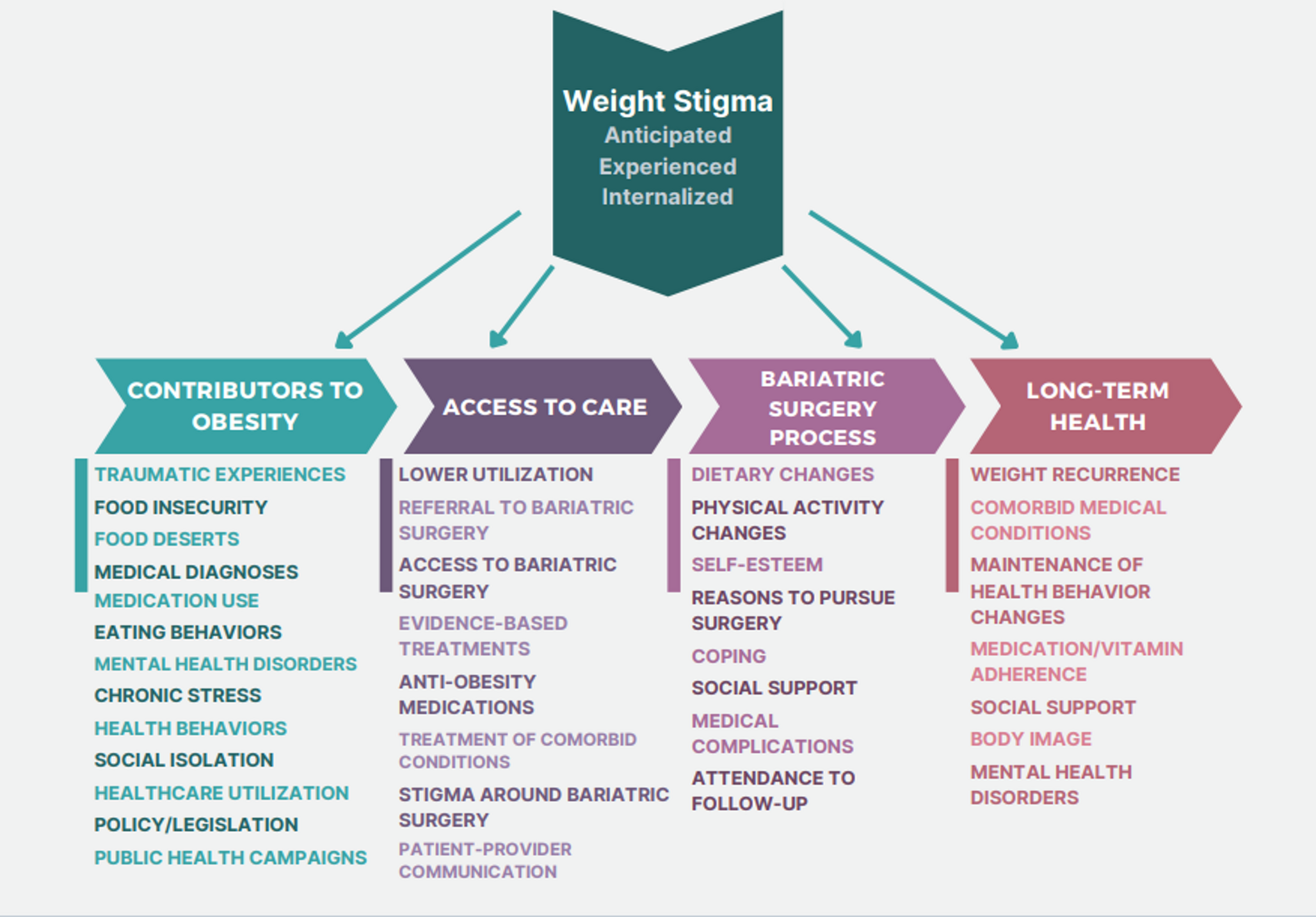 Weight Stigma in the Metabolic Bariatric Surgery Context: Current State of the Literature, Conceptual Model, and Looking Forward