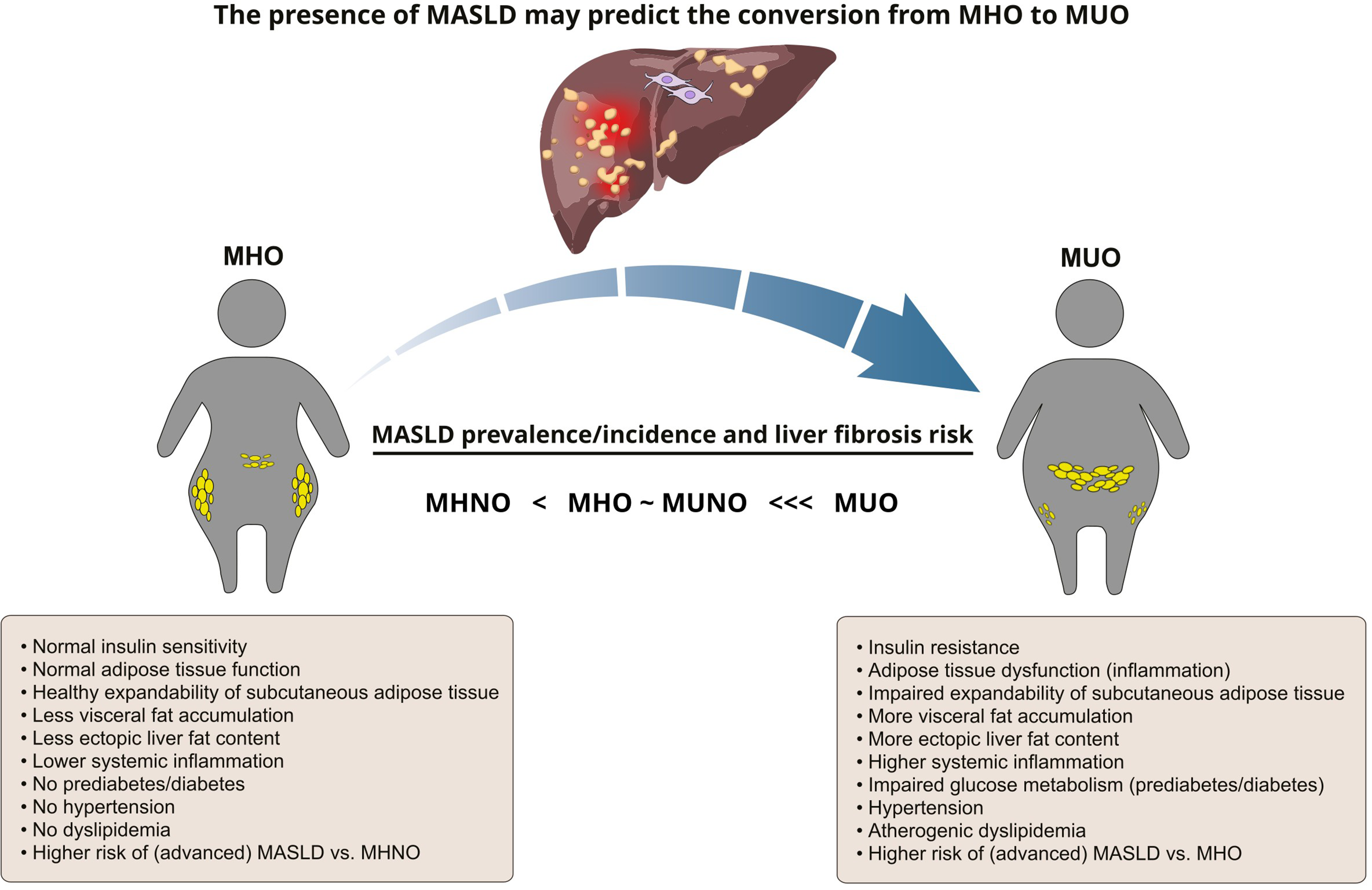 Metabolically Healthy Obesity and Metabolic Dysfunction-Associated Steatotic Liver Disease (MASLD): Navigating the Controversies in Disease Development and Progression