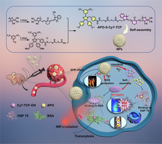Programmed sequential nanostructural conversion at nano-bio interface for synergistic cancer phototheranostics
