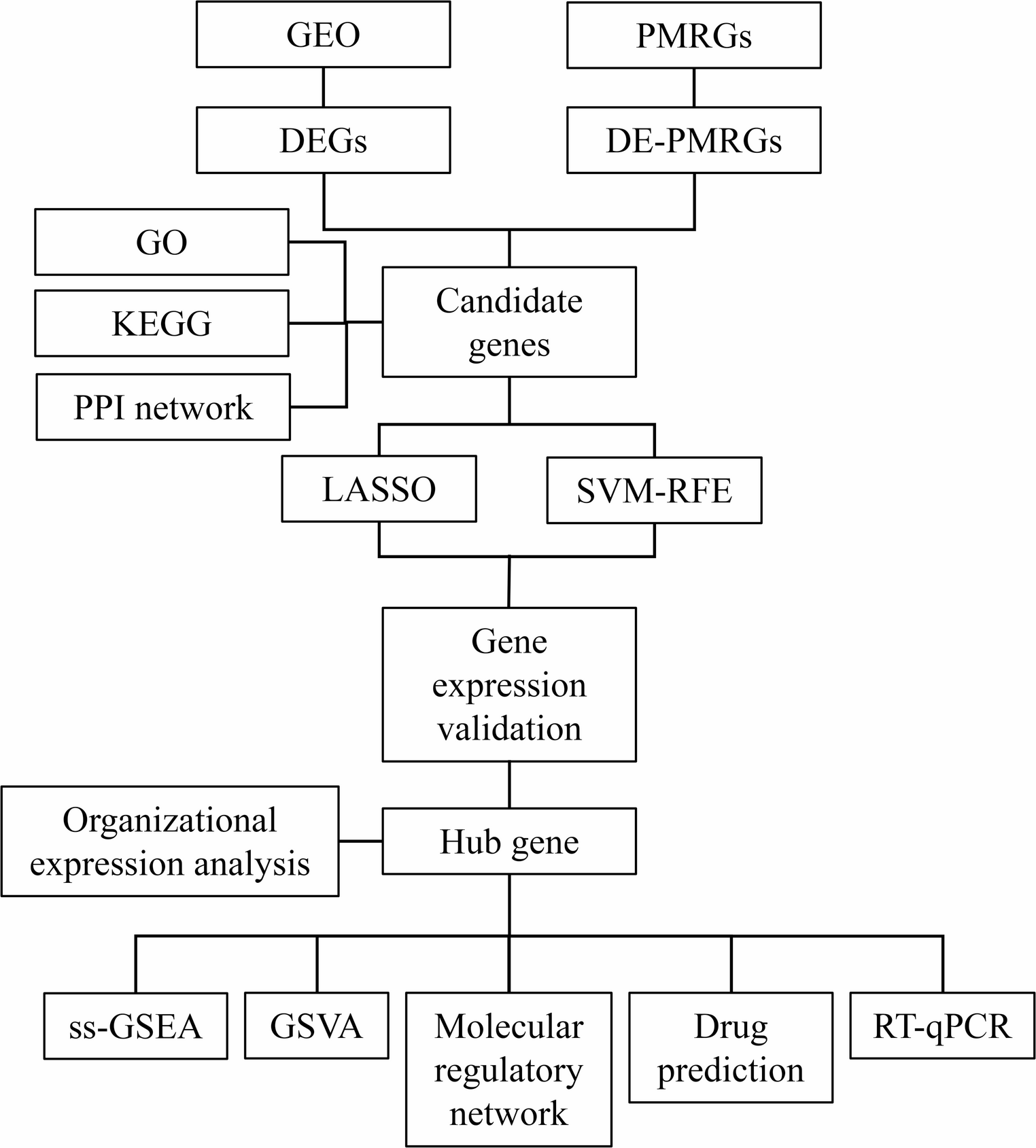 Novel role of NR1D1 and SLC7A5 in gestational diabetes mellitus: regulation of polyamine metabolism