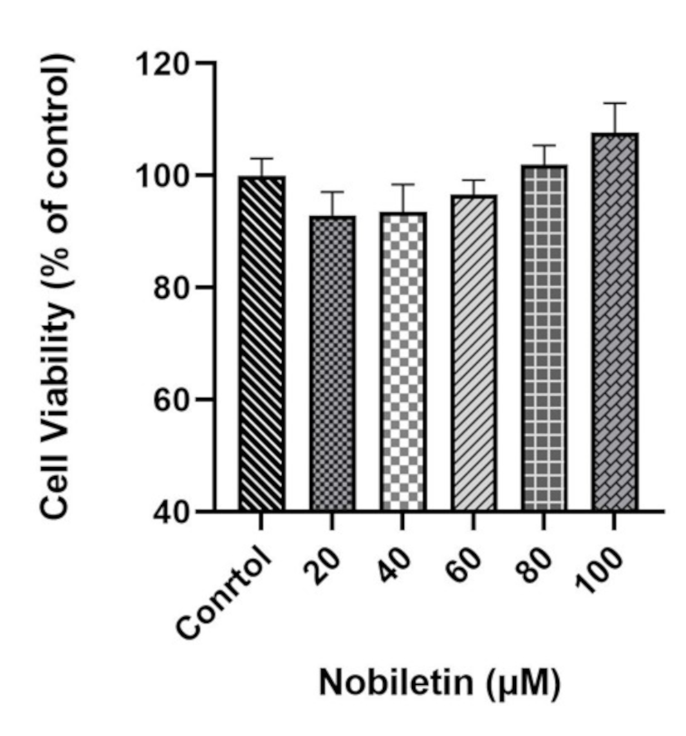 Nobiletin can play a role in improving inflammation by inhibiting the NF-kB and MAPK pathways in muscle cells