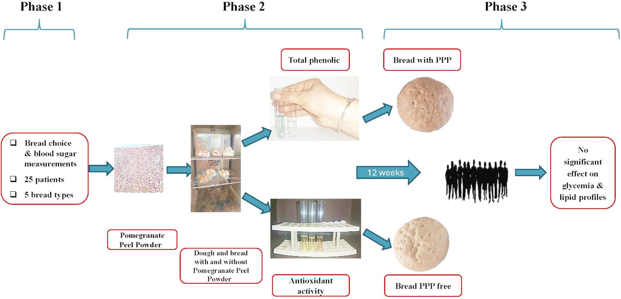 Effects of pomegranate peel powder-fortified bread consumption in patients with type 2 diabetes mellitus: randomized controlled trial