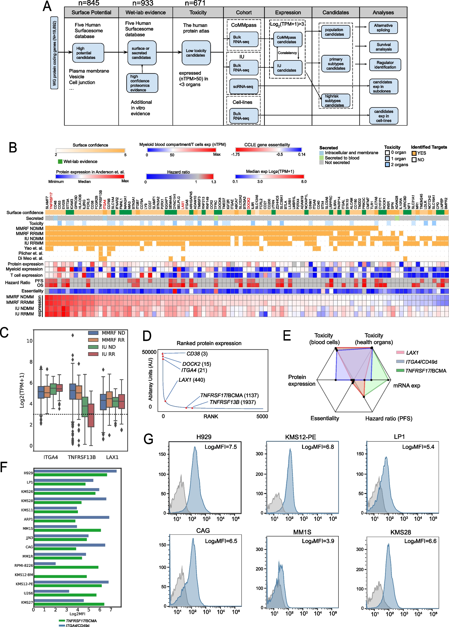 Utilizing genomics to identify novel immunotherapeutic targets in multiple myeloma high-risk subgroups