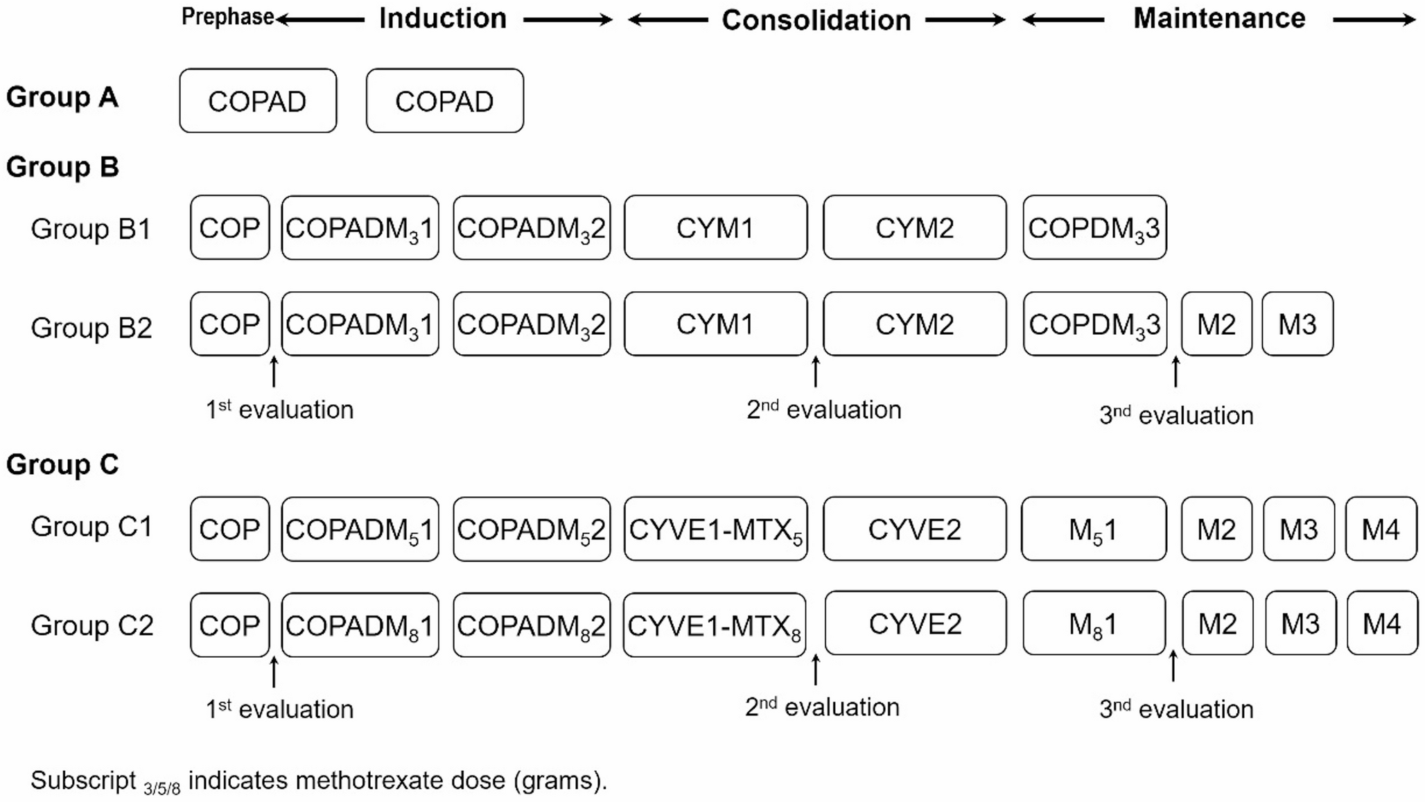 Clinical characteristics and treatment evaluation of diffuse large B-cell lymphoma in Chinese children and adolescents: a multicenter clinical study of China-Net childhood lymphoma group B-NHL-2017