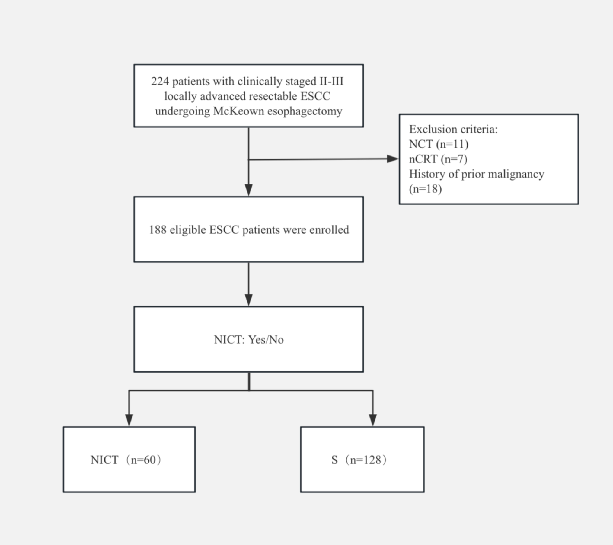 Neoadjuvant immunochemotherapy in locally advanced esophageal squamous cell carcinoma: a retrospective study with 2-year survival analysis