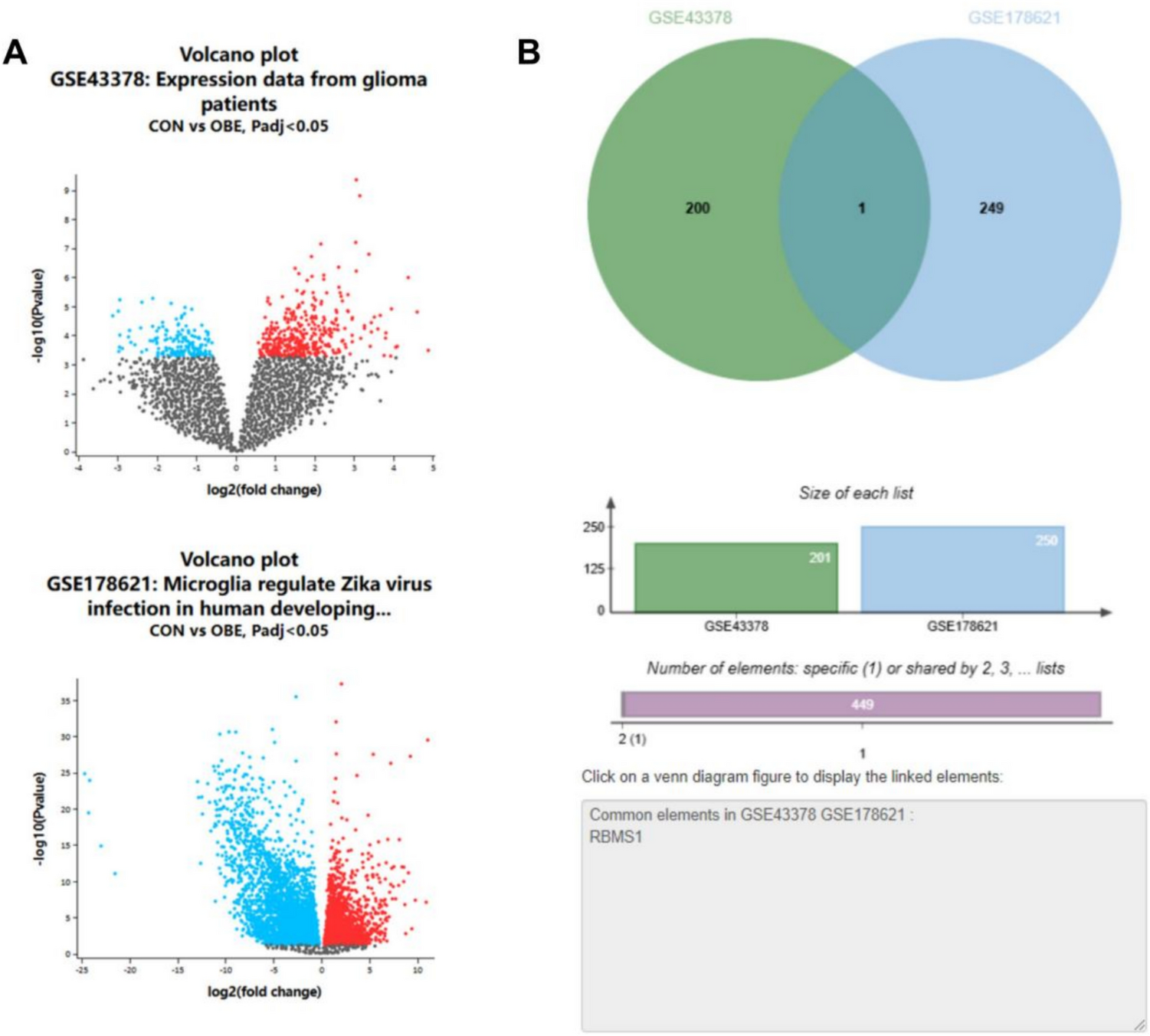 Expression profile and prognostic relevance of immune infiltration-related RBMS1 in gliomas: a multidimensional integrative analysis