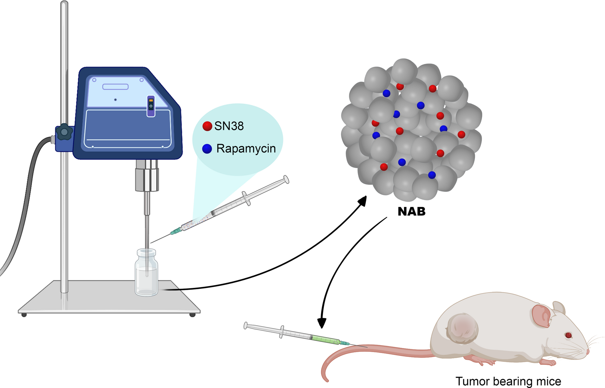 Co-delivery of SN38 and rapamycin albumin bound nanoparticles against breast Cancer