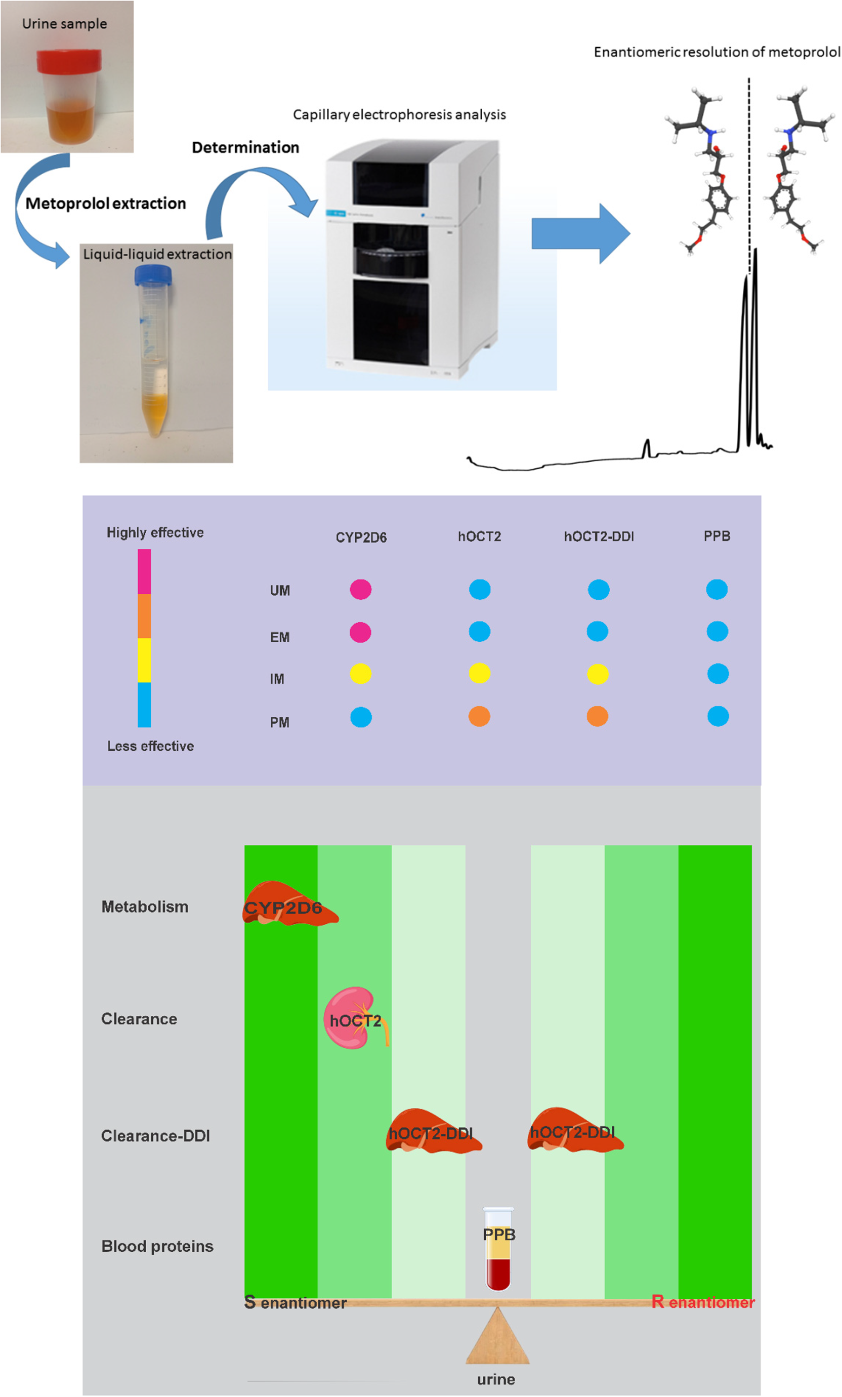 Profiling metoprolol enantiomers in urine of hypertensive patients