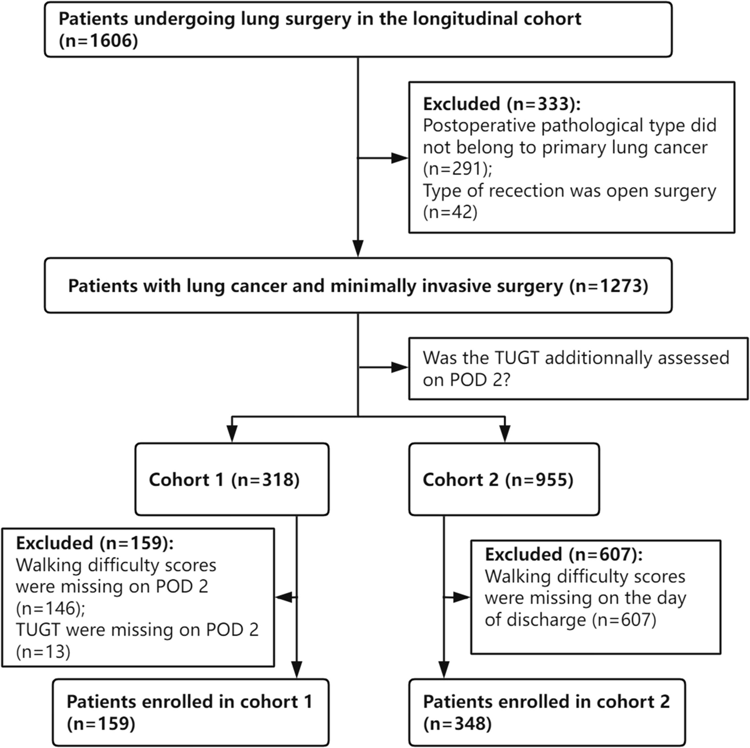 Patient-reported walking difficulty predicting the post-discharge overall function in patients with lung cancer undergoing minimally invasive surgery
