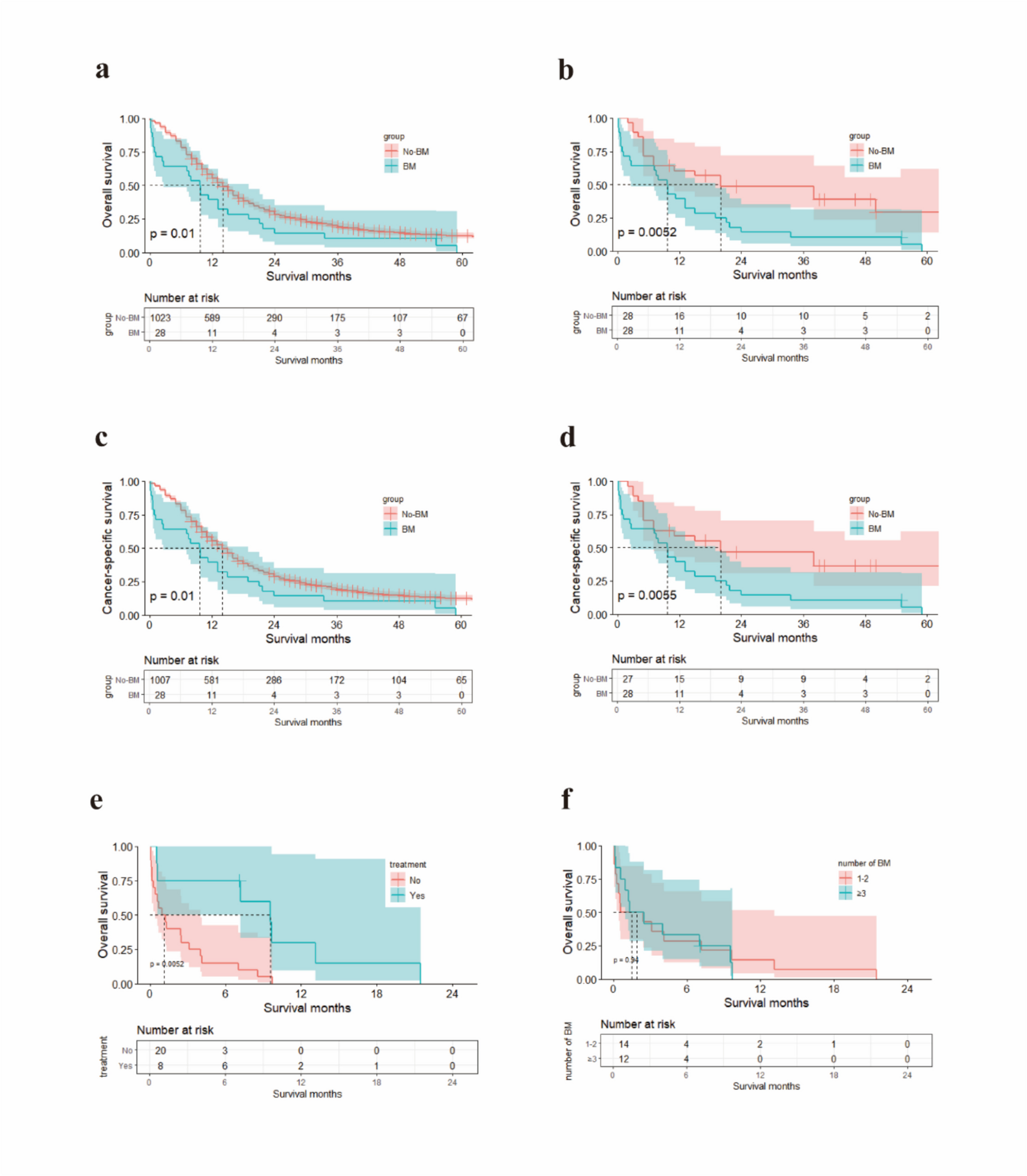 Imaging Characteristics and Clinical Outcomes in Gastric Cancer with Brain Metastasis: A Propensity Score-Matched Study