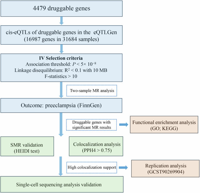 Exploration of potential therapeutic target genes for preeclampsia through genetic analysis
