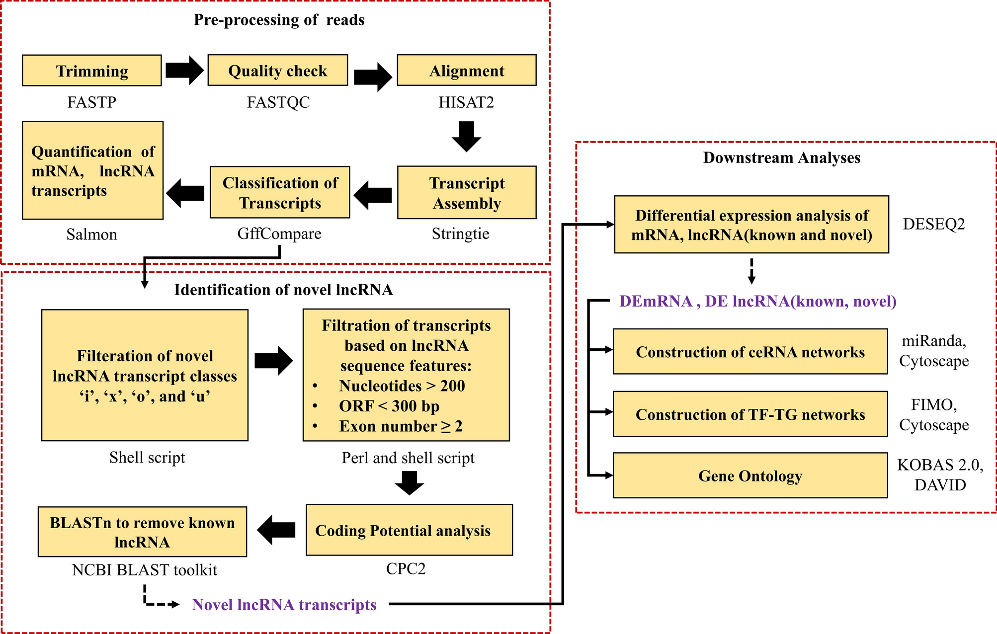 Integrative analysis of coding and non-coding RNAs in rice reveals conserved molecular response signatures to heat, drought, and salt stresses
