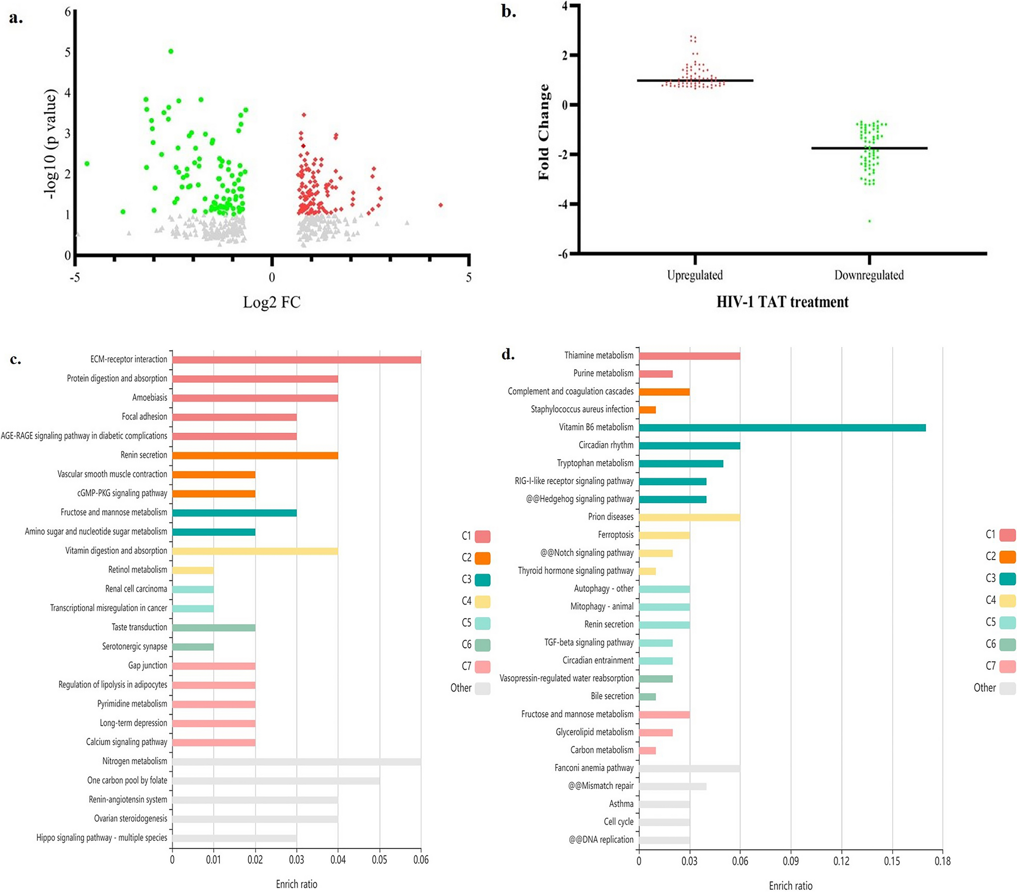 Impact of HIV-1 TAT activation on retinal Müller glia: Implications for barrier properties
