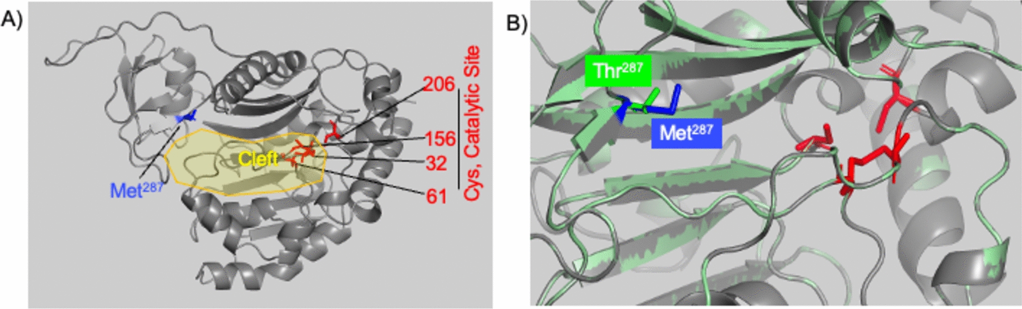 Single nucleotide polymorphisms and epigenetic crosstalk: unraveling the intricate interplay in genomic regulation