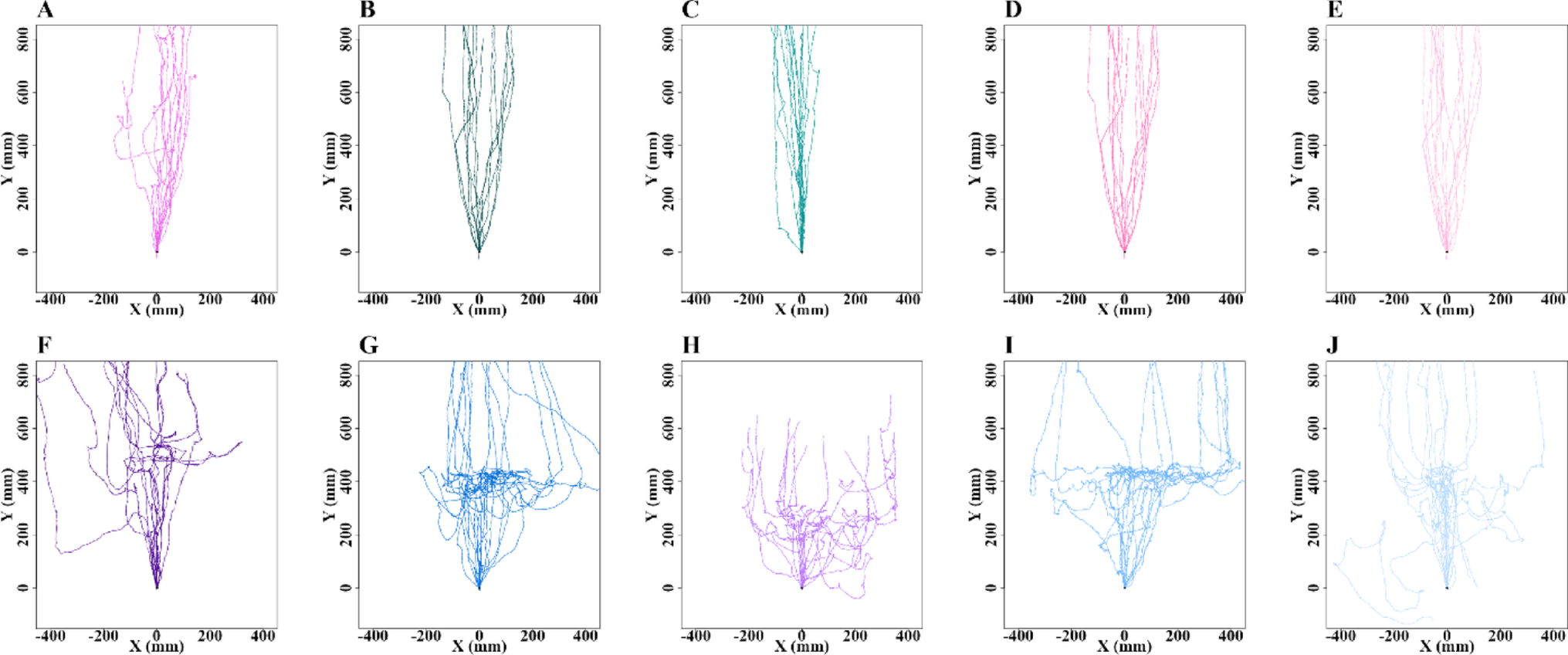 Phobic responses of bull ants () to odours introduced on their foraging route