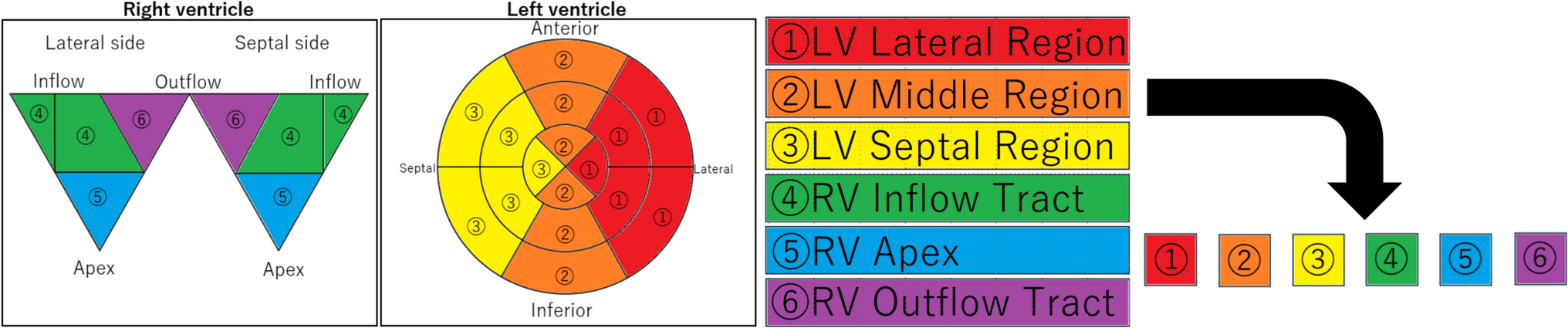 Beyond the left ventricle: three-dimensional echocardiographic analysis of biventricular synchronization after cardiac resynchronization therapy
