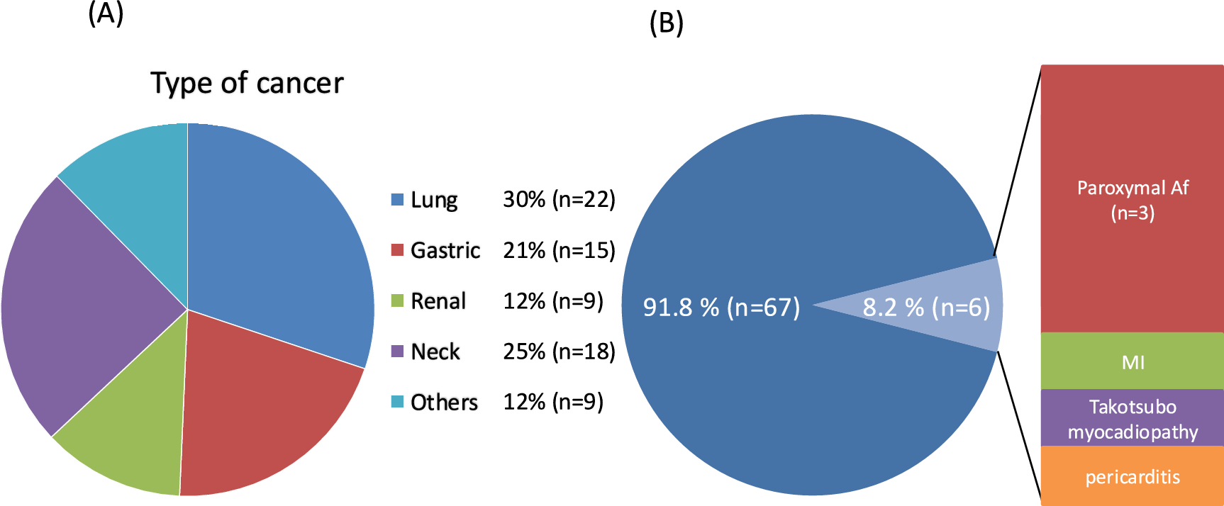 Utility of echocardiographic parameters in predicting cardiac immune-related adverse events in Japanese patients undergoing immune checkpoint inhibitor therapy