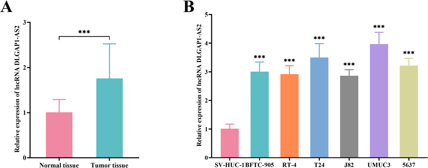 Prognostic value of LncRNA DLGAP1-AS2 in bladder cancer and its regulatory effect on tumor progression