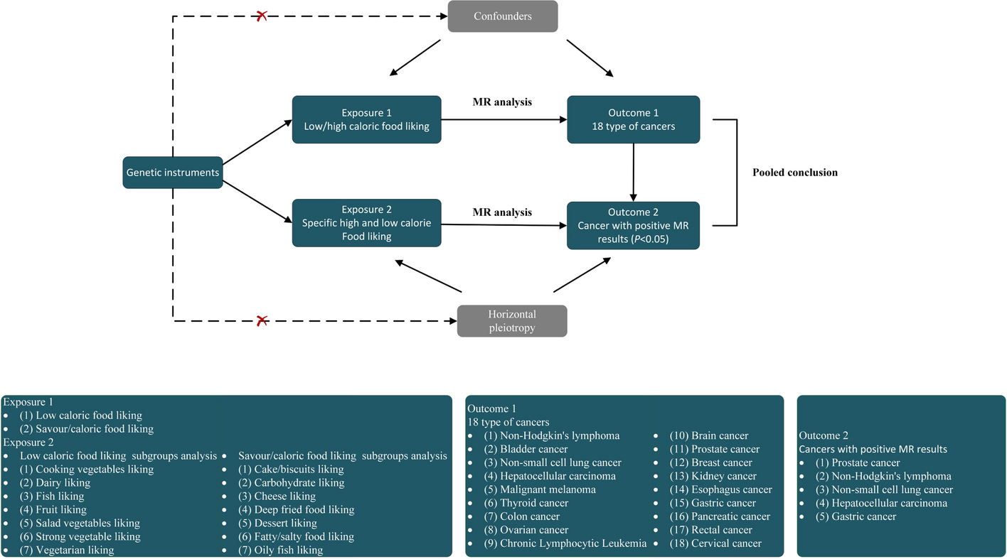 Mendelian randomization identifies genetically predicted calorie dietary preference as causal risk factors for cancer