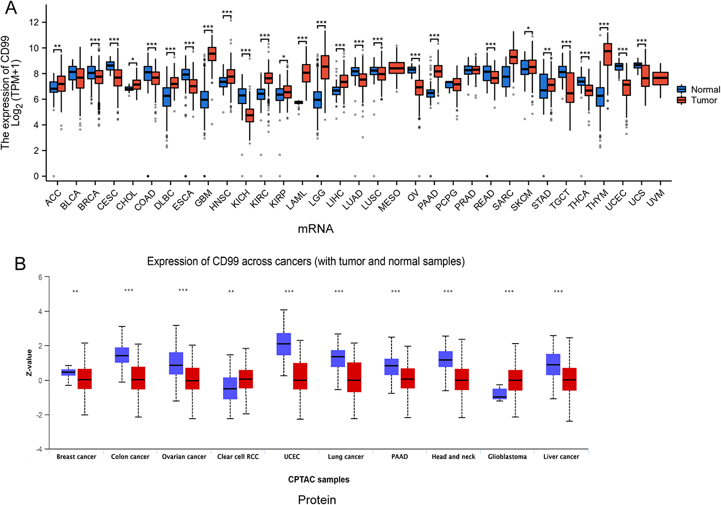 CD99 is a potential diagnostic and immunological biomarker in pan-cancer