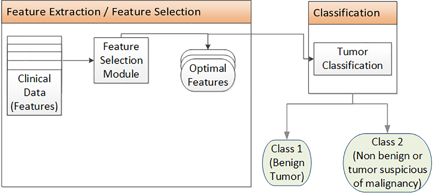 A novel approach for classifying patients with adrenal tumors based on decision support systems and artificial intelligence