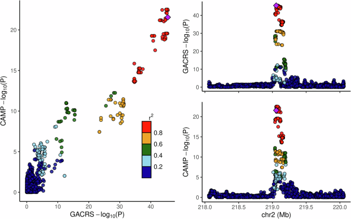 Serum microRNA expression quantitative trait loci in children with asthma colocalize with asthma-related GWAS results