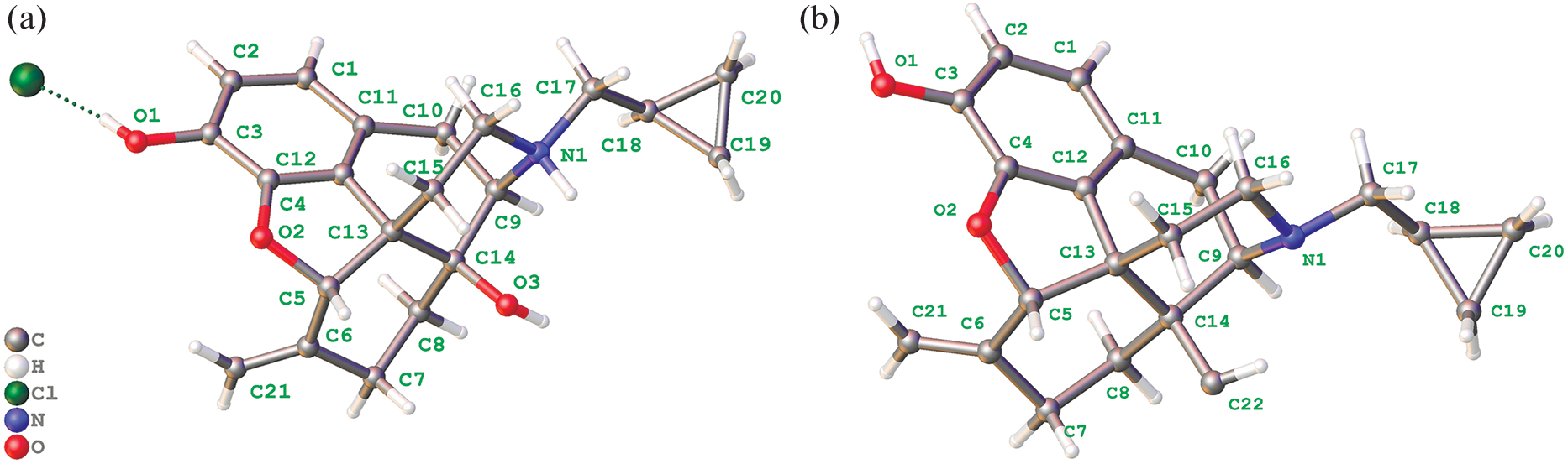 Evaluation of the Effect of Geometrical Configuration and Charge of Opioid Antagonists on Their Binding to Receptors