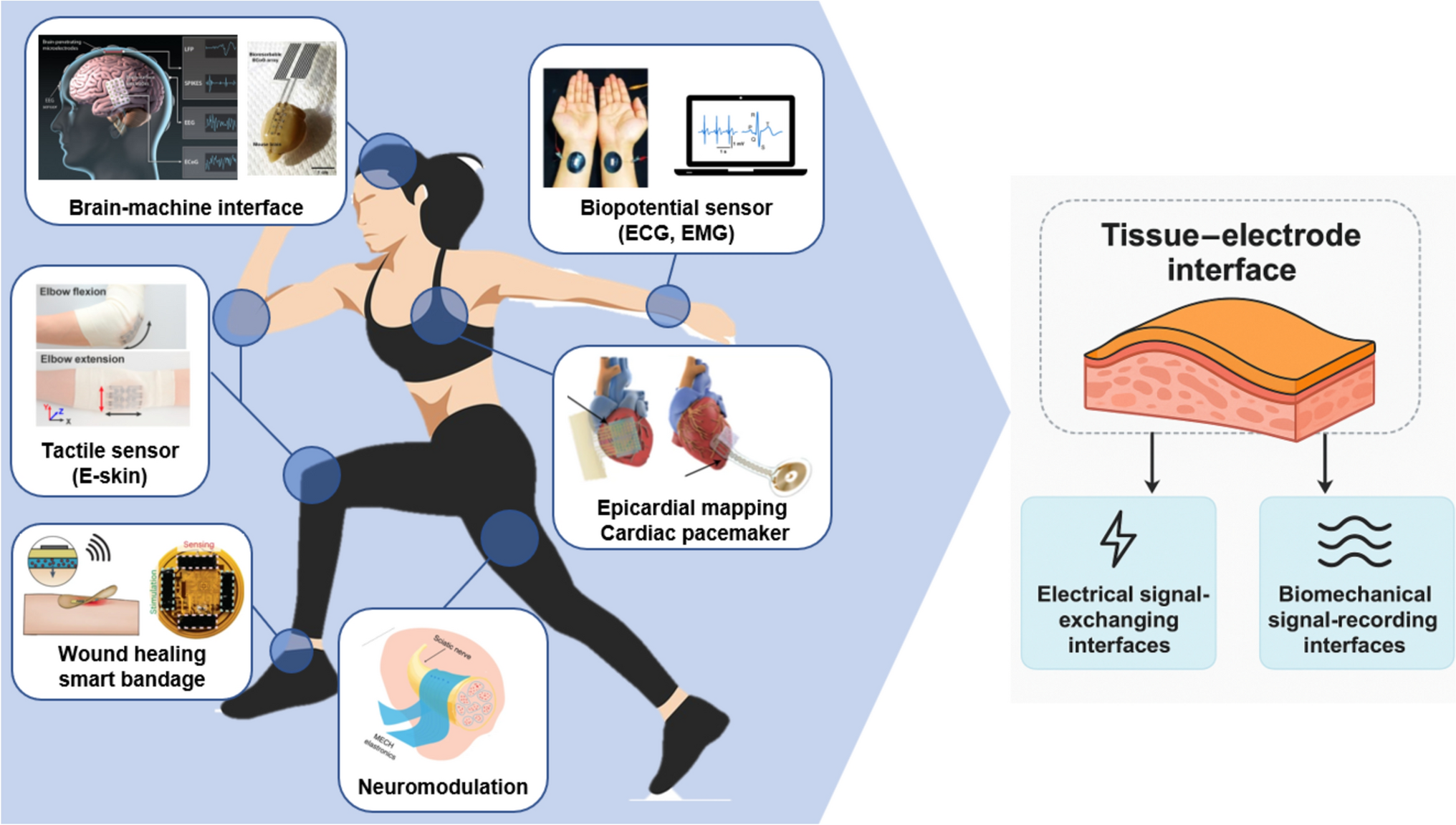 Soft, conformal tissue–electrode interfaces for bioelectronic devices: material, fabrication strategies, and applications