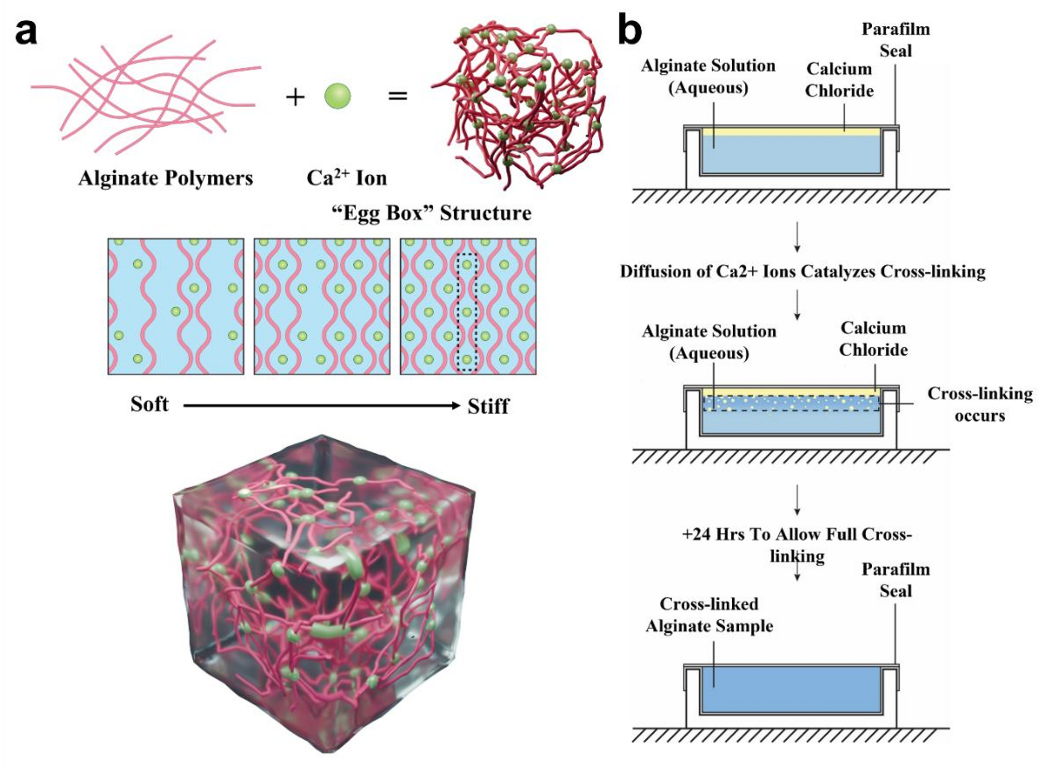Characterization of time-dependent viscoelastic behaviors of alginate-calcium chloride hydrogels for bioprinting applications