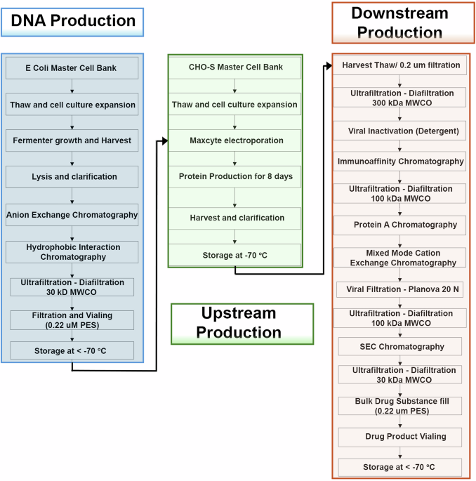 Accelerated cGMP production of near-native HIV-1 Env trimers following electroporation transfection and immunogenicity analysis