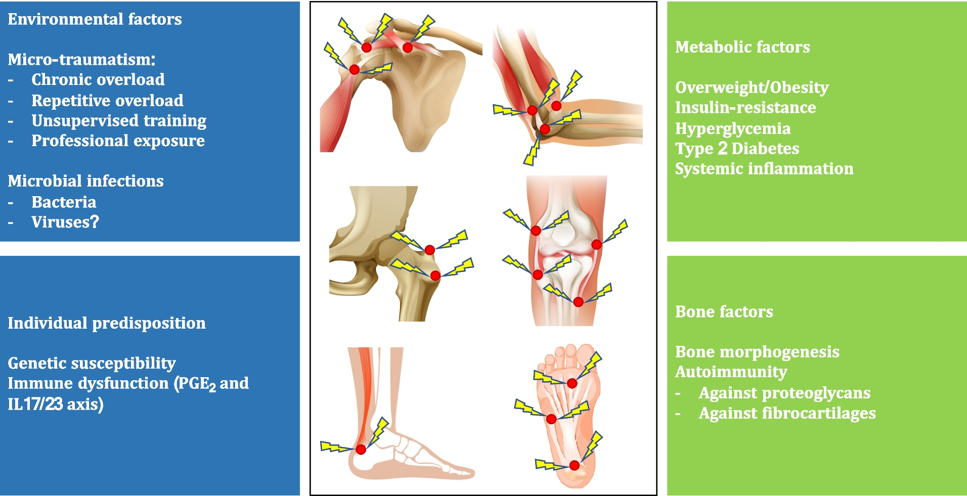 Metabolic-associated enthesitis: a review on pathophysiology, clinical relevance, diagnostic challenges, and perspective on target treatments