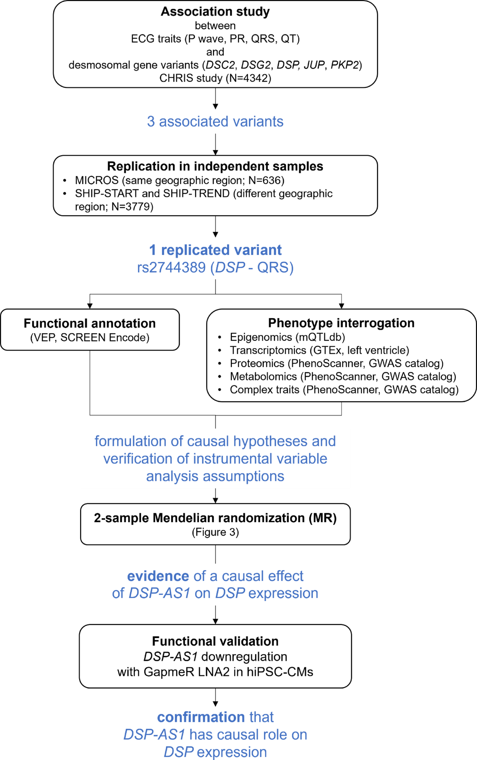 Genomic and molecular evidence that the LncRNA  modulates desmoplakin expression