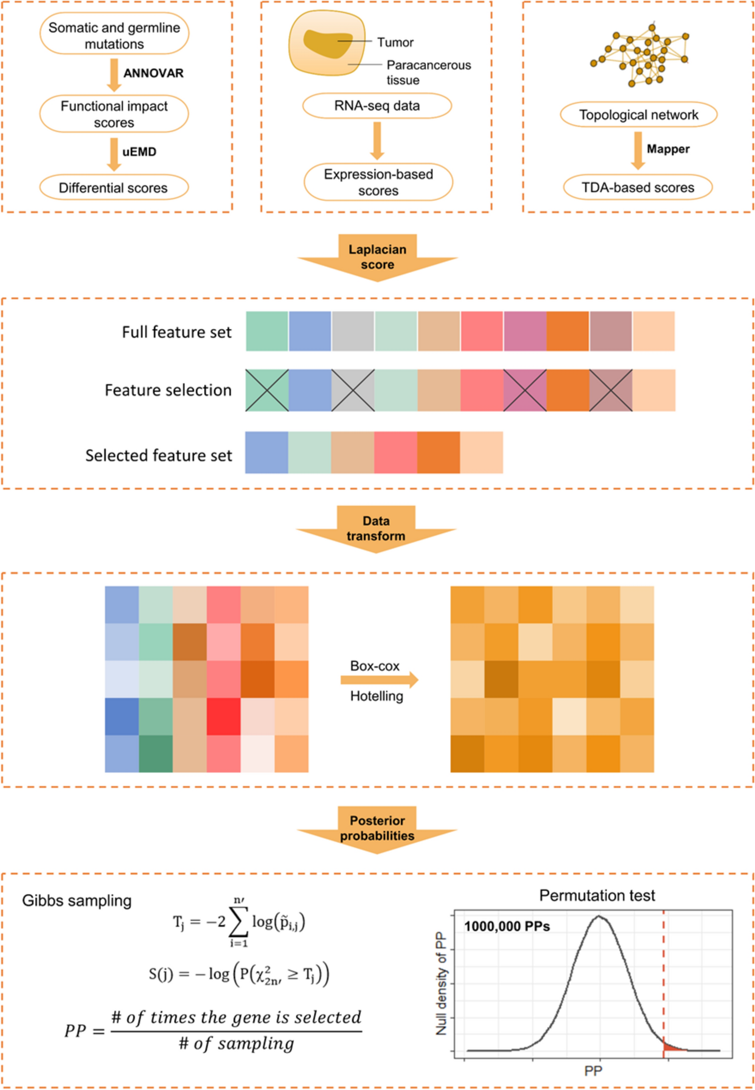 Integrating gene mutation spectra from tumors and the general population with gene expression topological networks to identify novel cancer driver genes