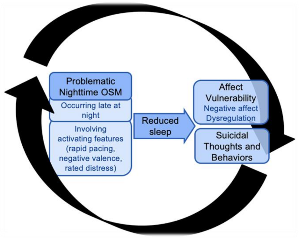 Online Social Networking as a Social Zeitgeber