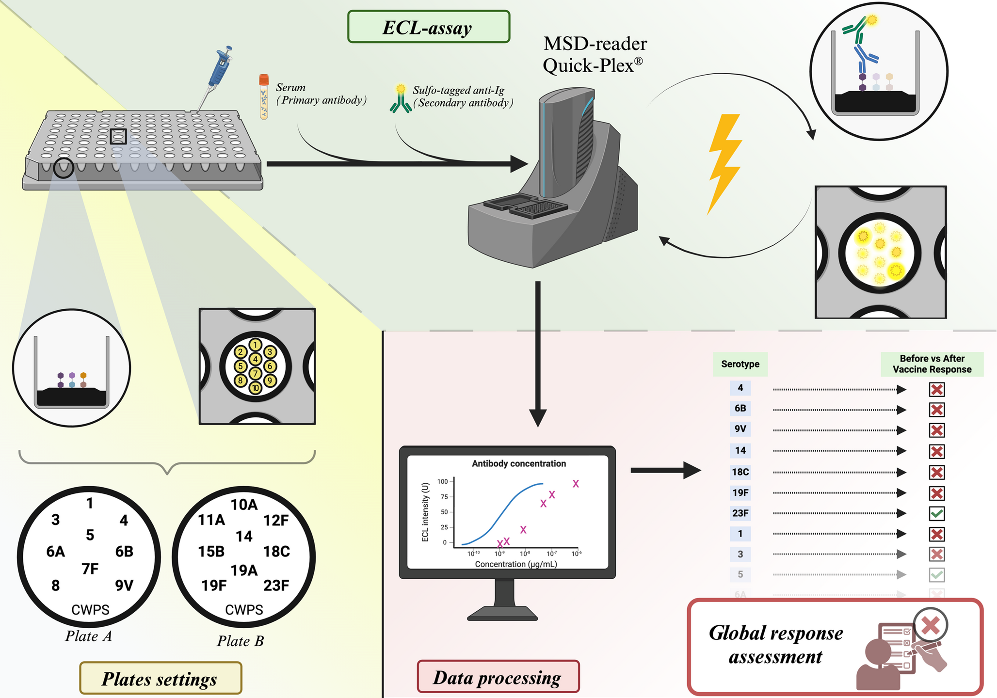 Evaluation of a Multiplex Electrochemiluminescence Assay for Detection of Anti-Pneumococcal Antibodies in the Diagnosis of Selective Polysaccharide Antibody Deficiency