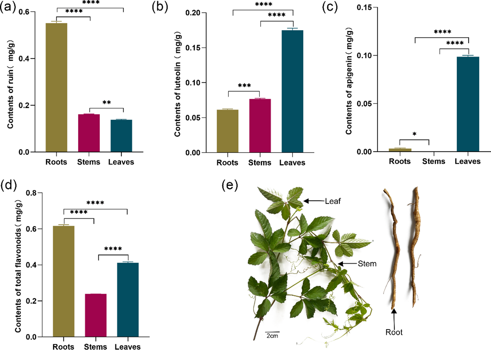 Comparative analysis of key flavonoid synthesis genes in the transcriptome of  and therapeutic target prediction for ulcerative colitis