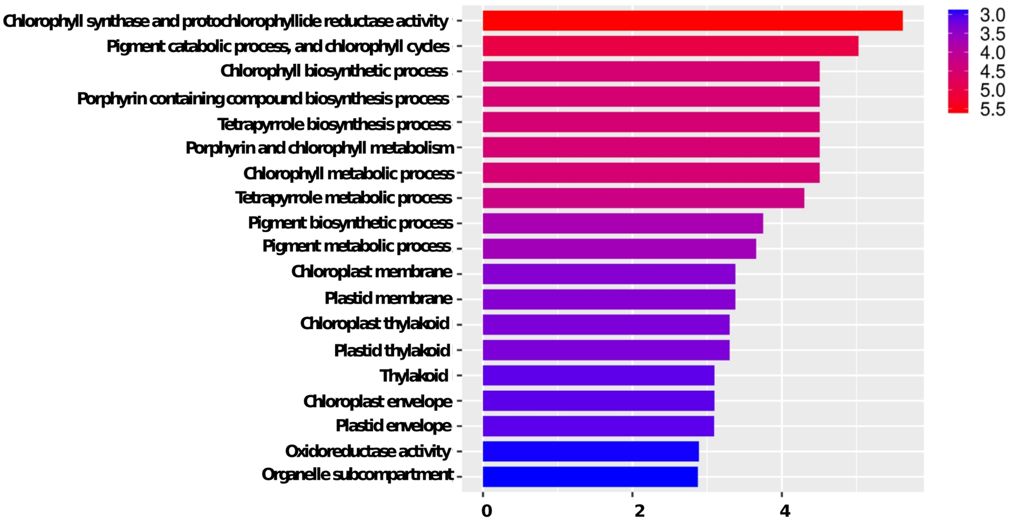 Multiplex CRISPR-Cas9 editing of chlorophyll biosynthesis genes in chickpea via protoplast and -mediated transformation