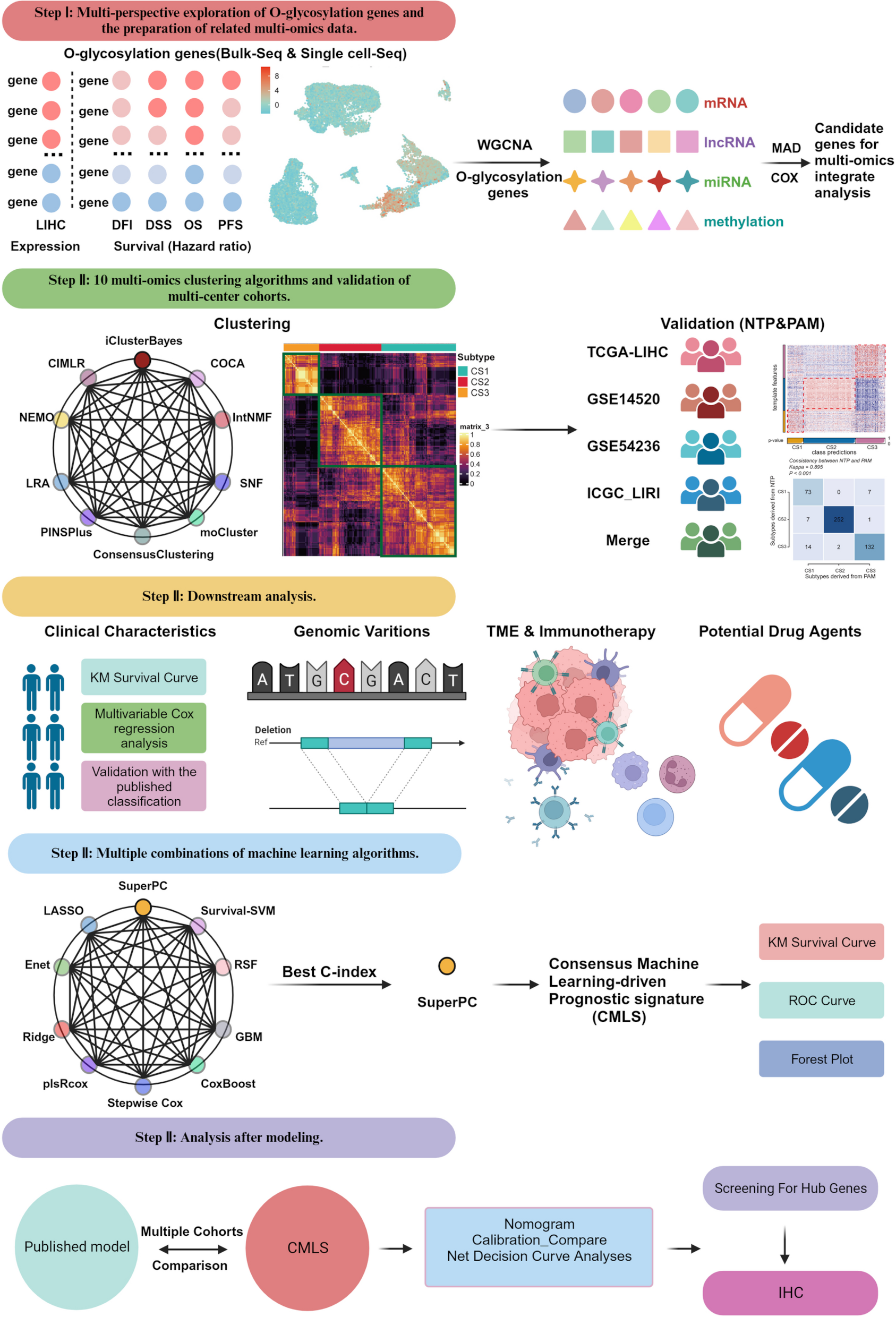 Integrated multi-omics analysis and machine learning refine molecular subtypes and prognosis in hepatocellular carcinoma through O-linked glycosylation genes