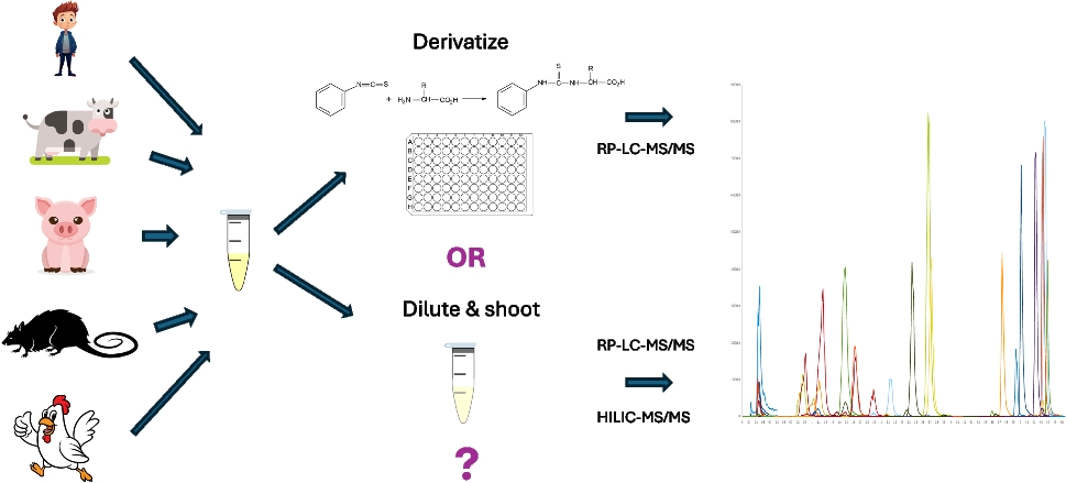 Comparative evaluation of phenyl isothiocyanate derivatization and “dilute-and-shoot” methods for HPLC–MS/MS-based targeted metabolomics analysis of amine-containing metabolites in plasma samples