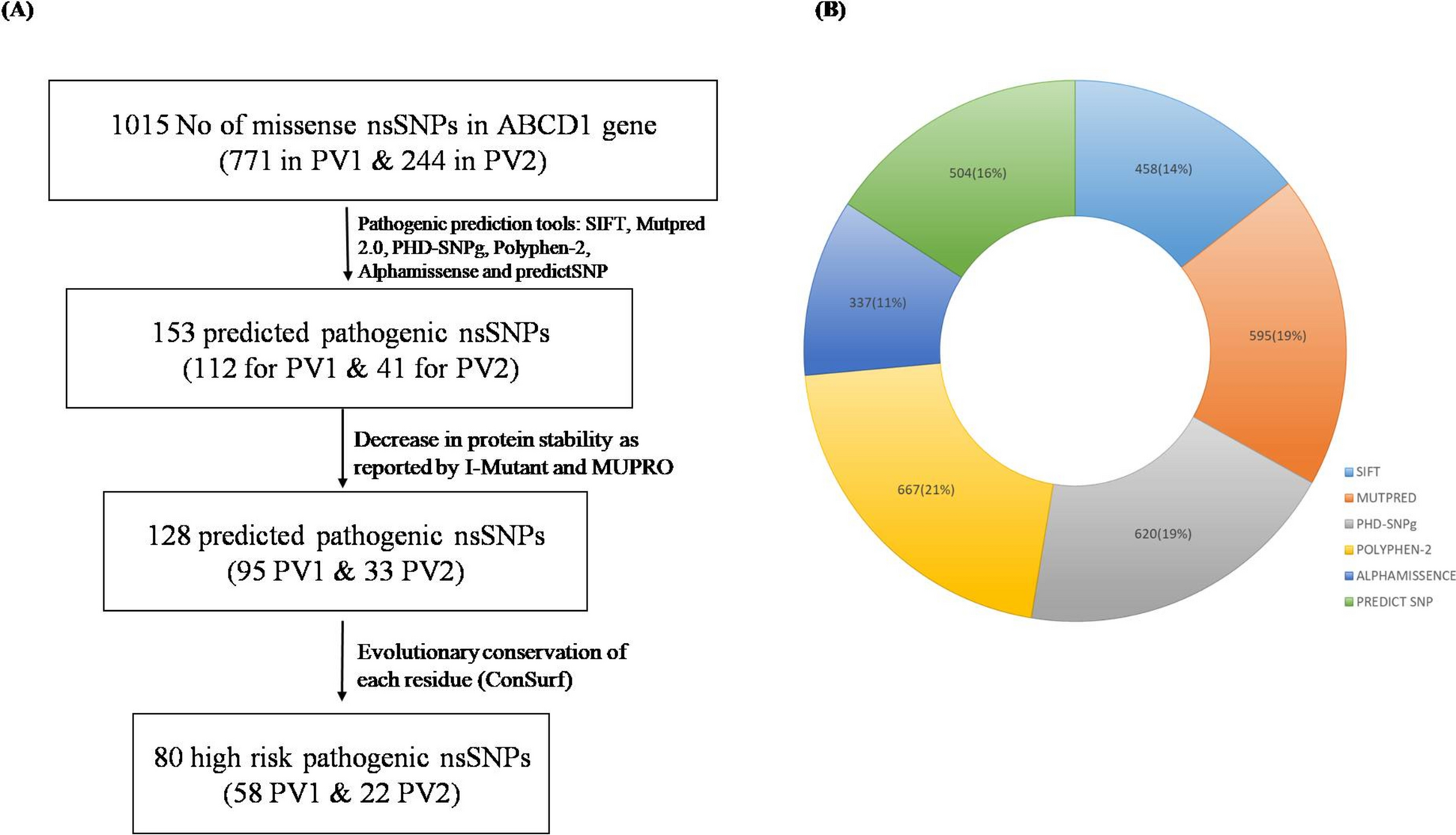 In silico analysis of non-synonymous single nucleotide polymorphisms of human ABCD1 gene associated with adrenoleukodystrophy