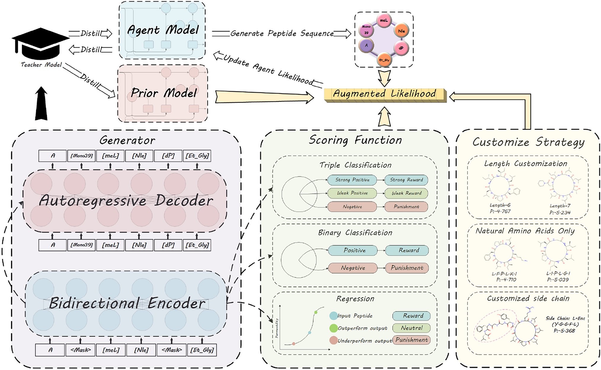 Ai-driven de novo design of customizable membrane permeable cyclic peptides