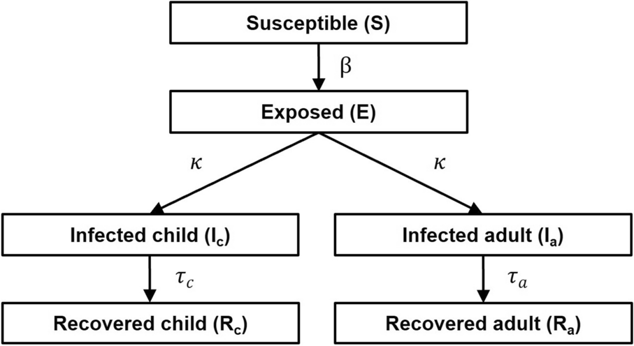 Cost-Effectiveness Analysis of Influenza Treatments in Japan Using a Transmission Model: The Impact of Baloxavir and Oseltamivir Shares
