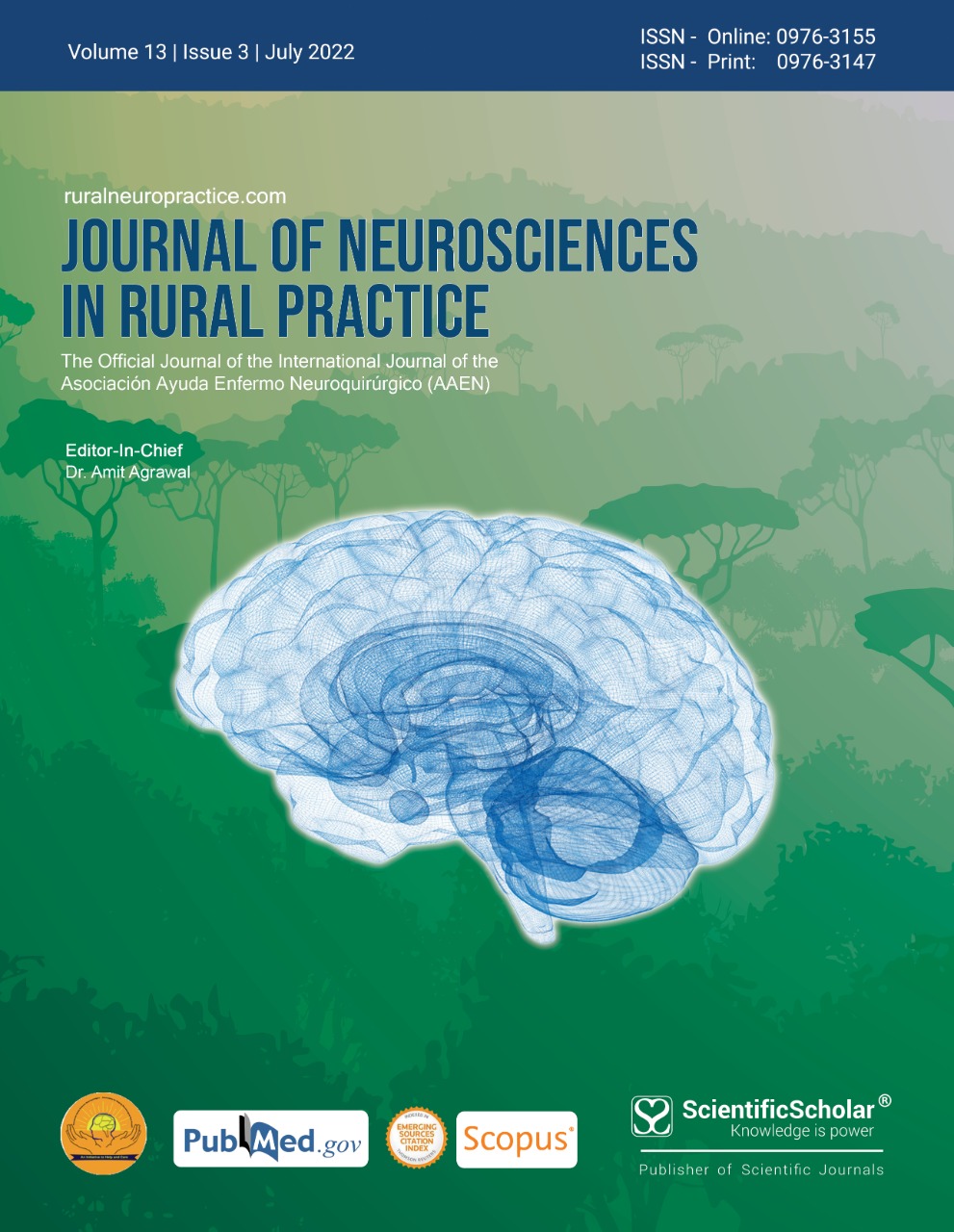 A Sporadic Cisternal Cystic Oculomotor Schwannoma—Case Report and Review of Literature