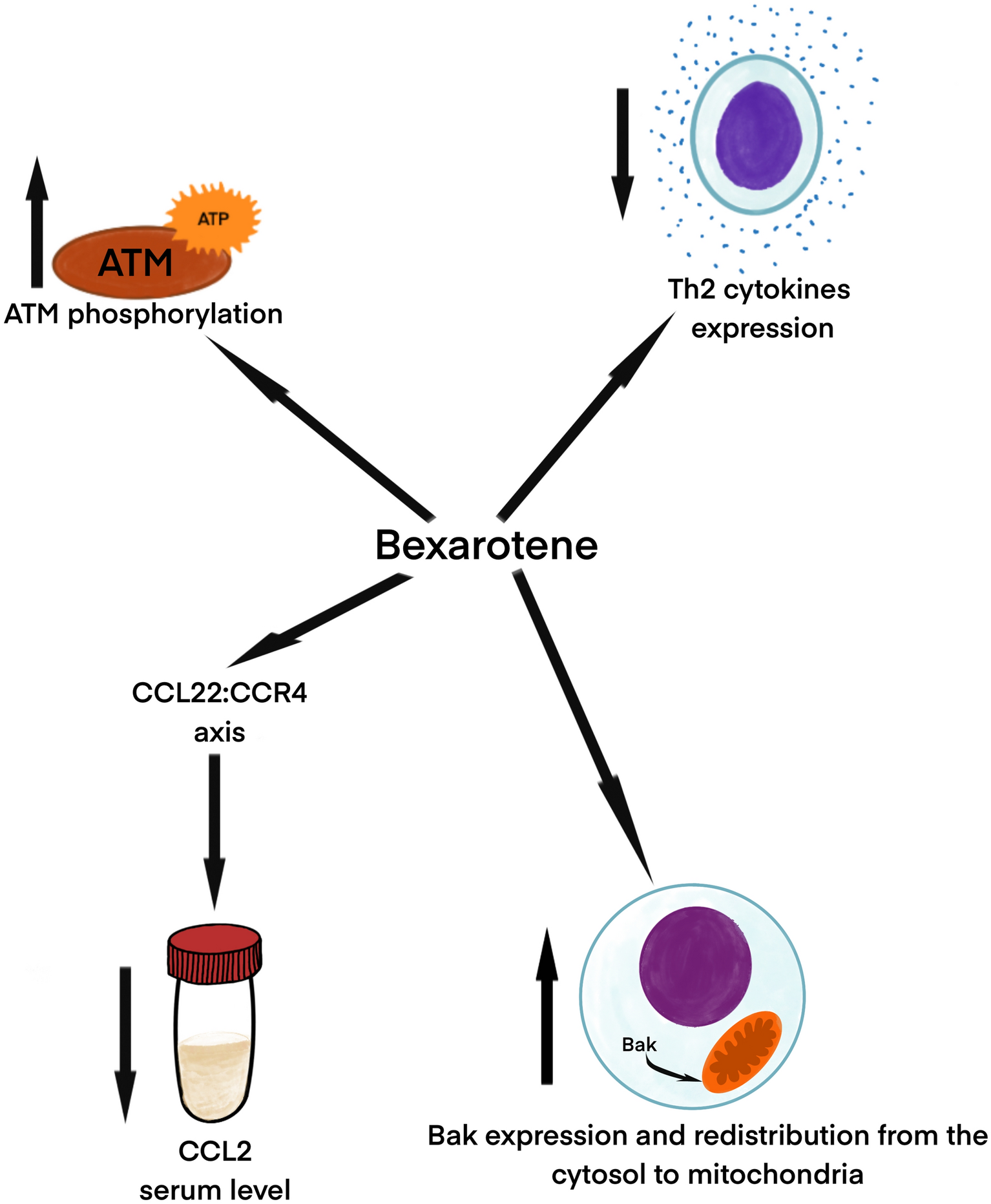 Skin-Directed Therapies in Mycosis Fungoides: An Update