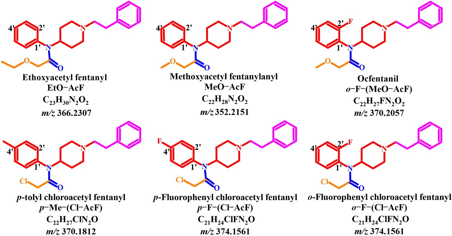 In vitro metabolic profiling and structure–metabolism relationships of substituted acetyl fentanyl-type new psychoactive substances