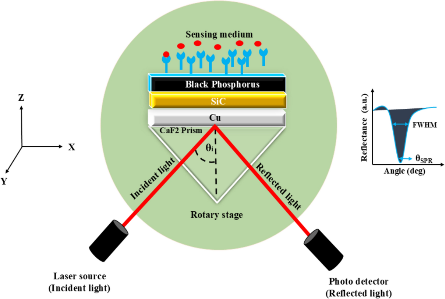 Theoretical study of silicon carbide-based surface plasmon resonance sensor for detection of tuberculosis in blood plasma