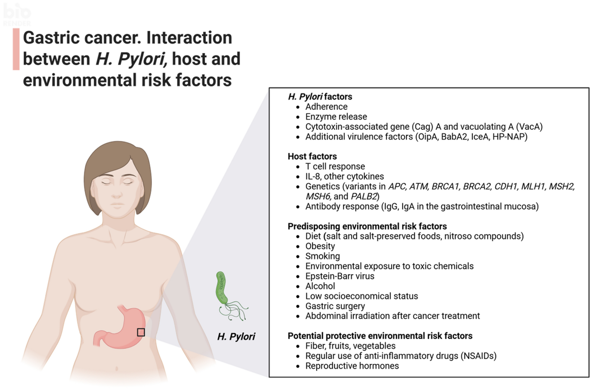 Why internists should care about : recapitulating gastric cancer prevention