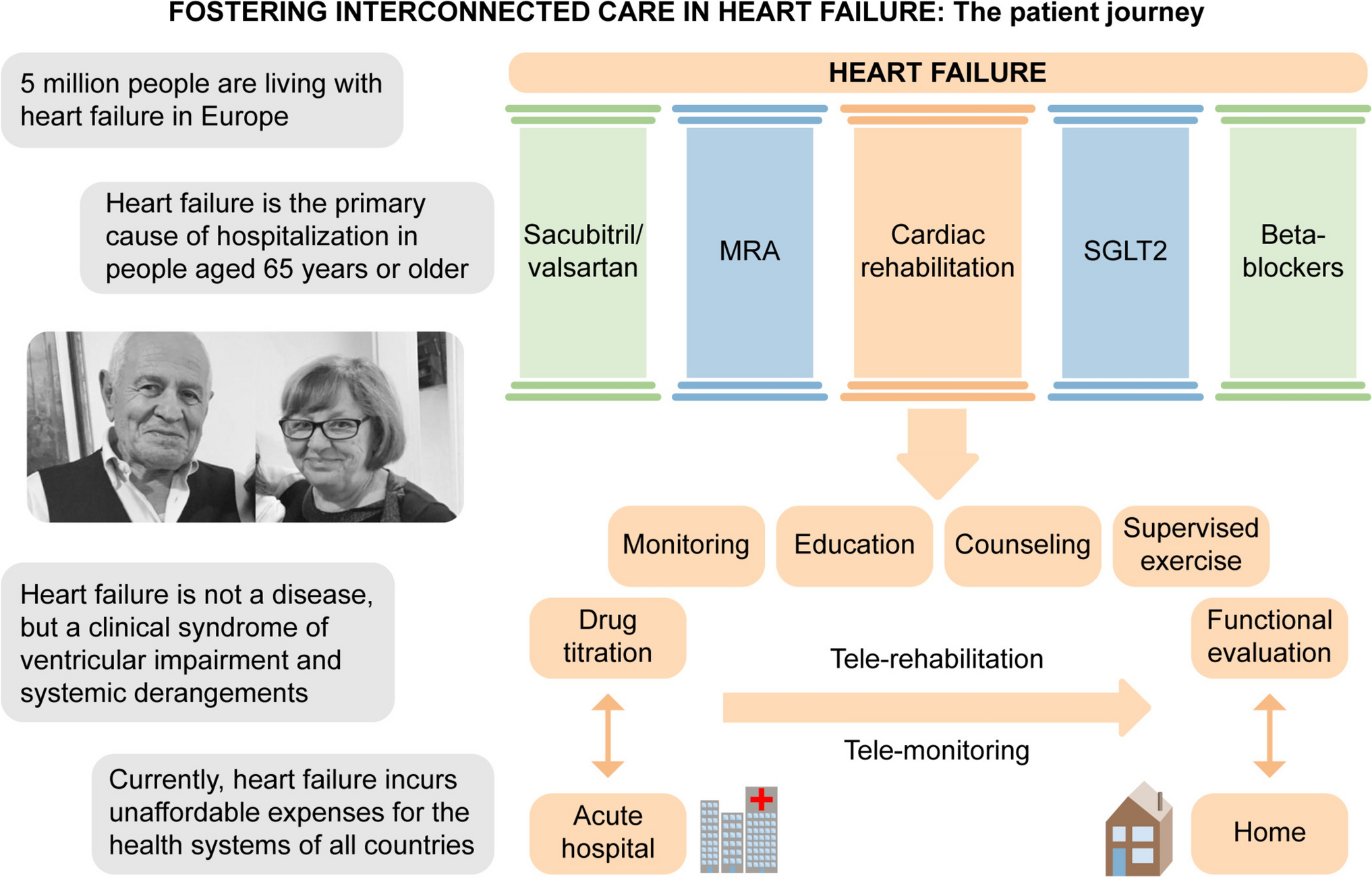 Fostering interconnected care in heart failure: a call to action for a comprehensive assessment and management of the patient’s journey